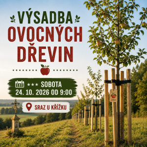 Výsadba
