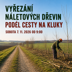 Vyřezání náletových dřevin 